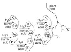 Colloids pass membranes