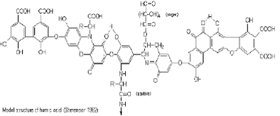 Humic Acid Model Structure